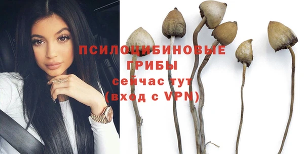 бутират Костерёво