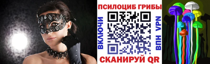 Купить где  Гулькевичи  Псилоцибиновые грибы Psilocybine cubensis 